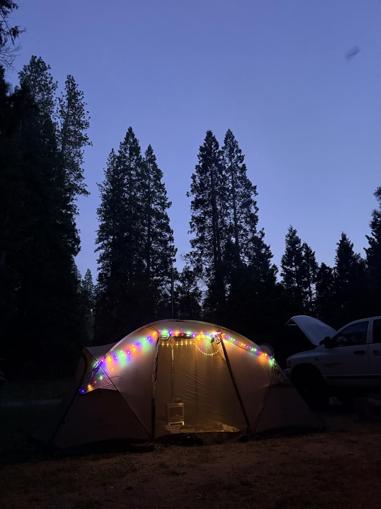 Massif Hot Tent with Stove Jack, Waterproof Windproof 4 Season Tent, 2/4 Person Cold Weather Winter Tents for Camping customer photo 1