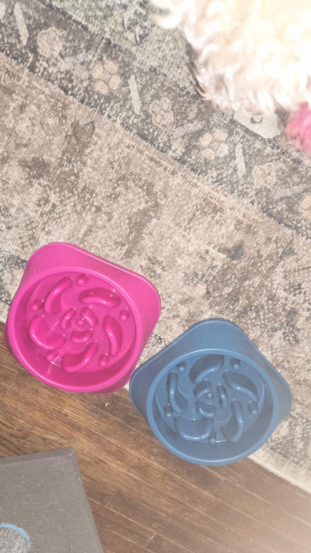 MateeyLife 2-Pack Slow Feeder Dog Bowls, 2 Cups, Dog Puzzle Feeder Bowl, Food-Contact Safe, Dishwasher Safe, Non-Slip Base, Maze Design customer photo 1