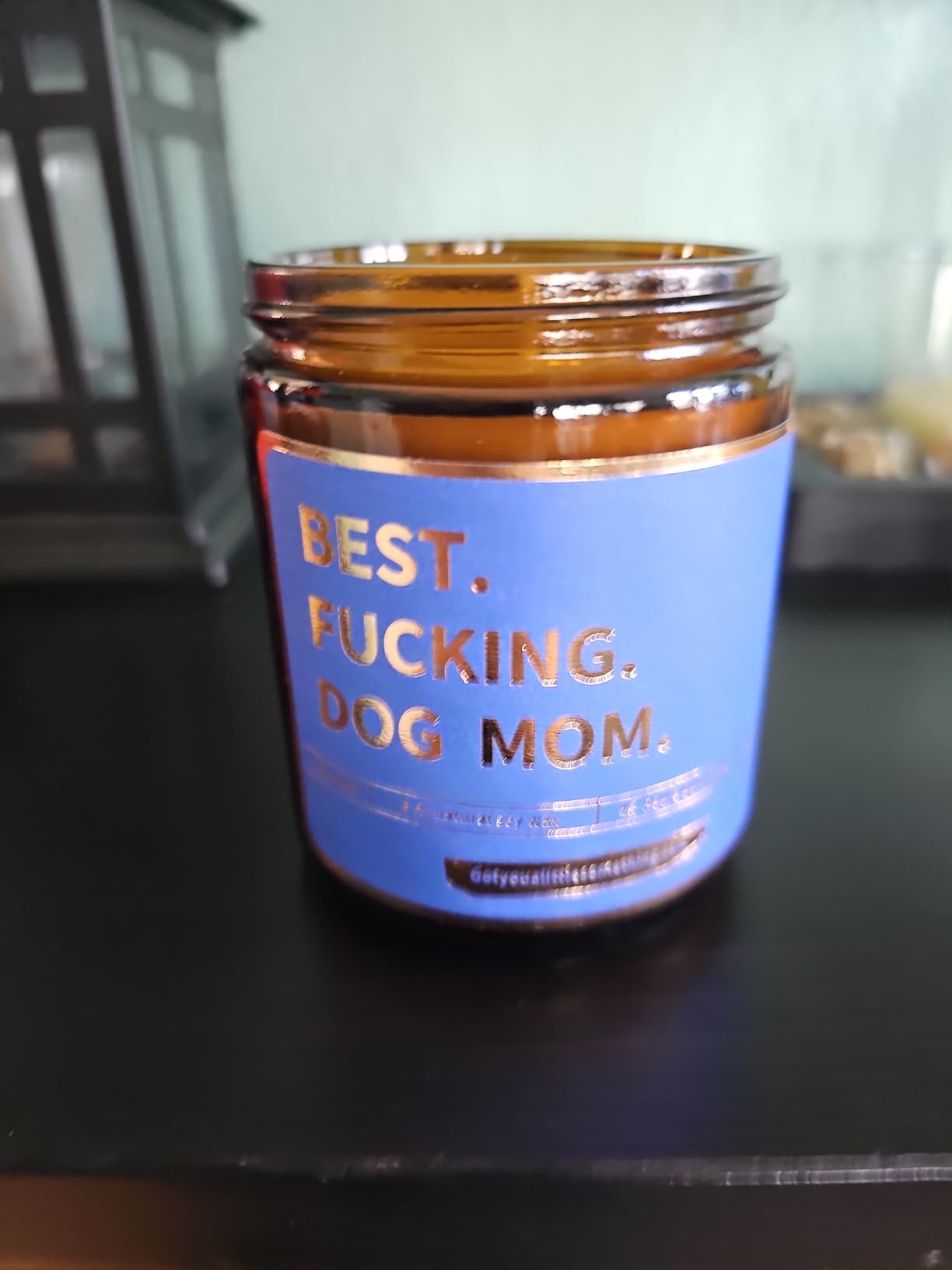 Dog Mom Gifts for Women | Lavender Vanilla Scented Candle, 100% Soy Wax | Funny Gift for Pet Lovers for Birthday, Mothers Day customer photo 2
