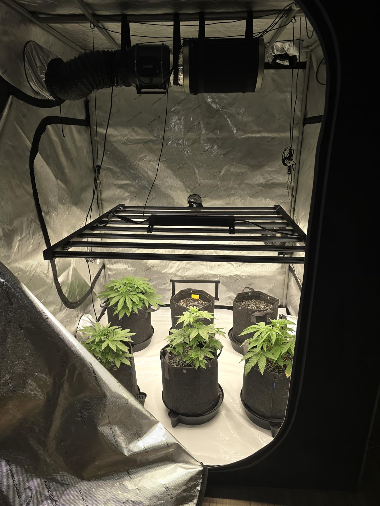 AC Infinity Advance Grow System PRO 5x5, 6-Plant Kit 150x150x200cm | Dynamic Airflow & LM301H EVO LED Lighting Control, 2000D Mylar Tent w/Lab-Tested Reflectivity, Largest Zippered Window customer photo 2