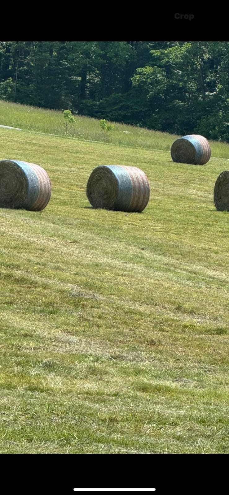 Freedom Round Bale Net Wrap, 58 in x 9,840 ft, Fits 4 ft - 1 Roll customer photo 1