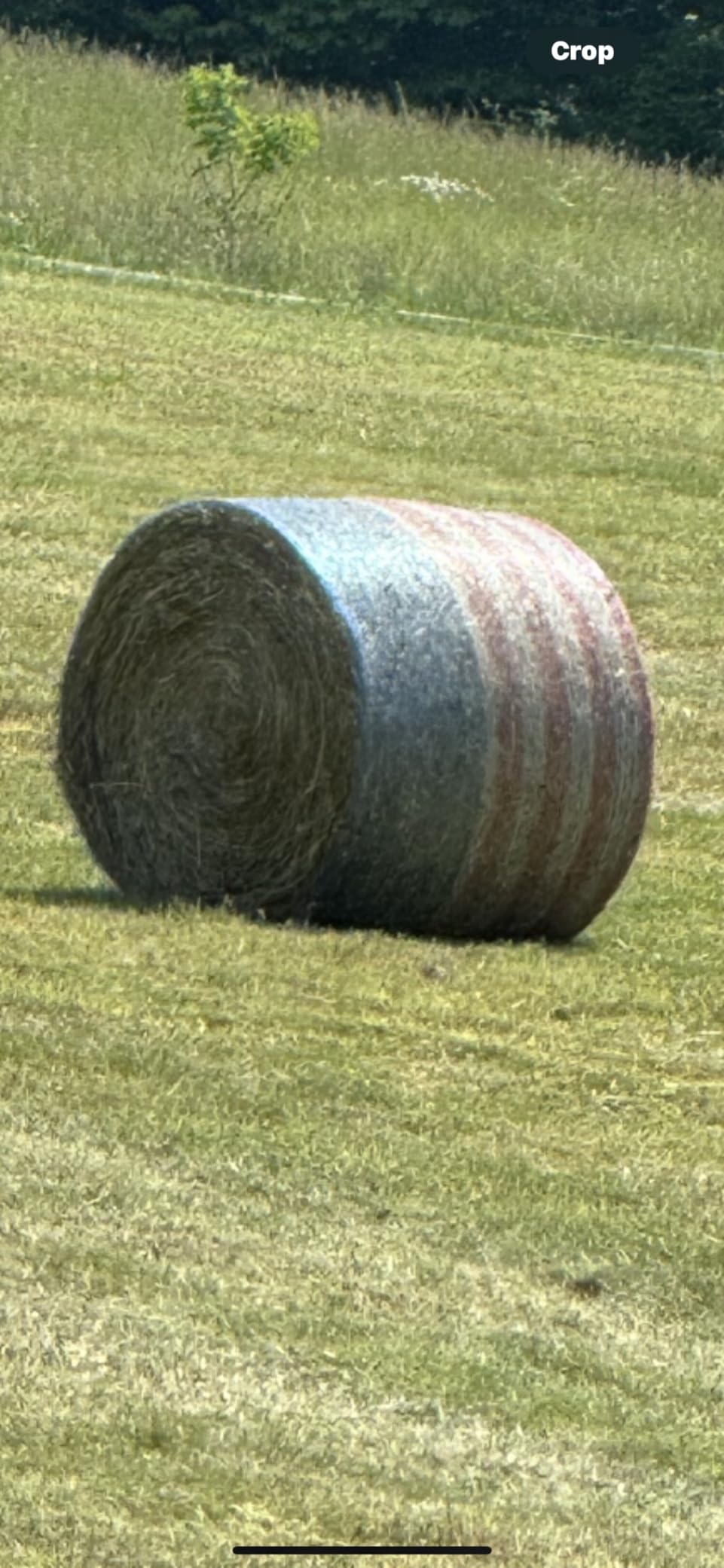Freedom Round Bale Net Wrap, 58 in x 9,840 ft, Fits 4 ft - 1 Roll customer photo 2