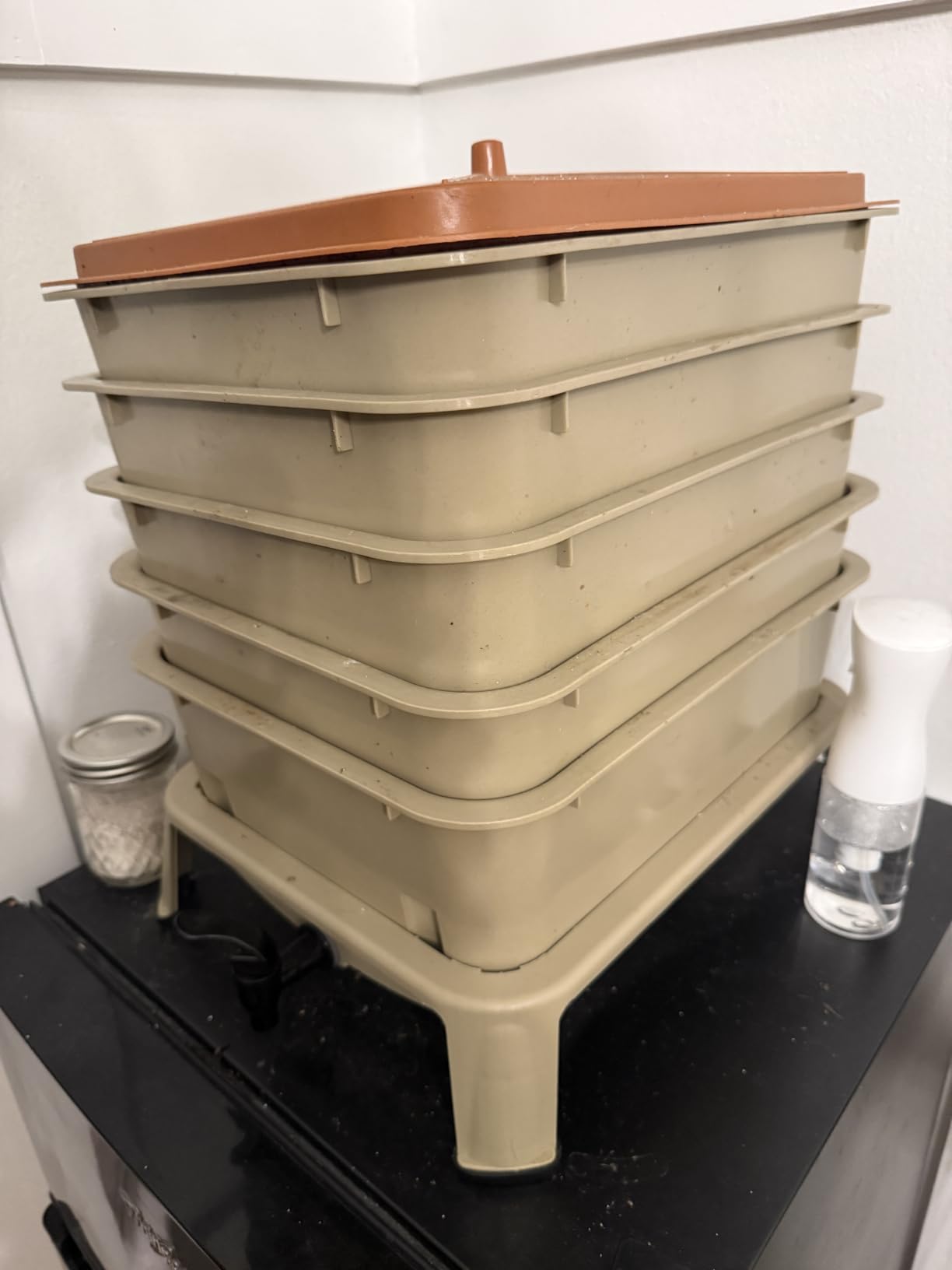 Blütezeit 3-Tray Worm Composter, 32QT Worm Farm with Compost Worms Starter Kit for Indoor & Outdoor, Worm Composting Bin for Recycling Food Waste (Green) customer photo 1