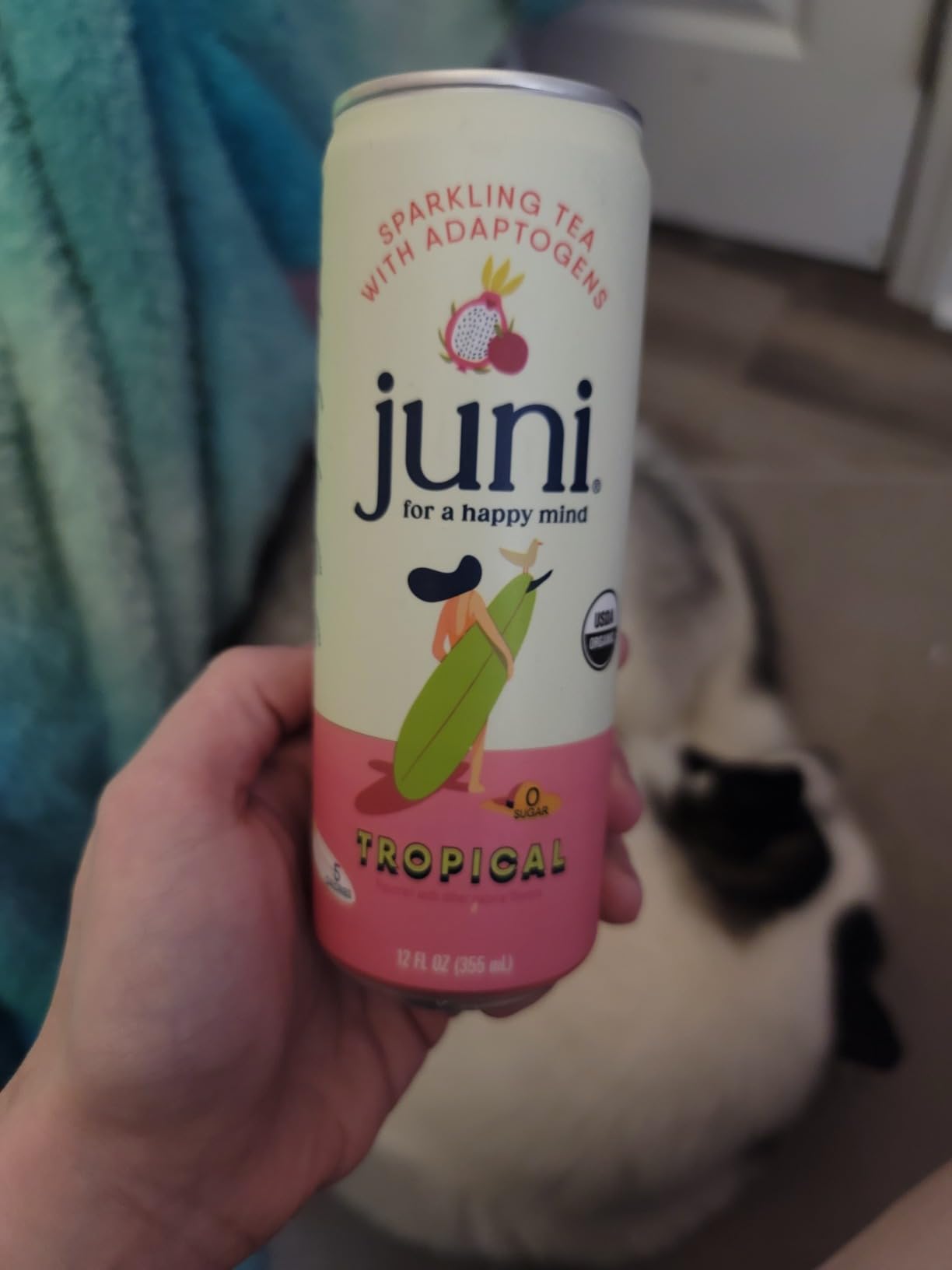 Juni Sparkling Adaptogen Drink, Non Alcoholic Mocktail, Variety 12 Pack | Ashwagandha, Lion's Mane & Reishi Mushrooms, Green Tea for Focus, Zero Sugar, Organic customer photo 1