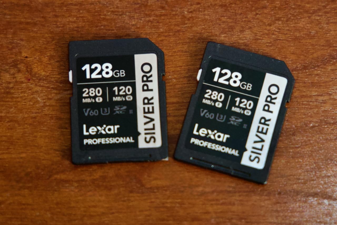 Lexar 256GB Silver PRO SD Memory Card, 280MB/s Read, 4K, V60, U3, UHS-II | Compatible w/ Canon, Sony, Nikon, Ideal for Professional Photographer, Videographer, Enthusiast, LSDSIPR256G-BNNNU customer photo 1