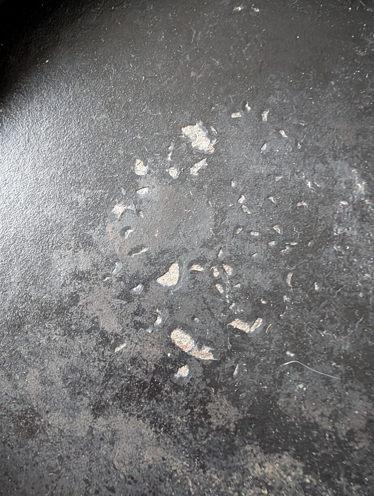 Enameled Cast Iron Signature Everyday Pan, 11