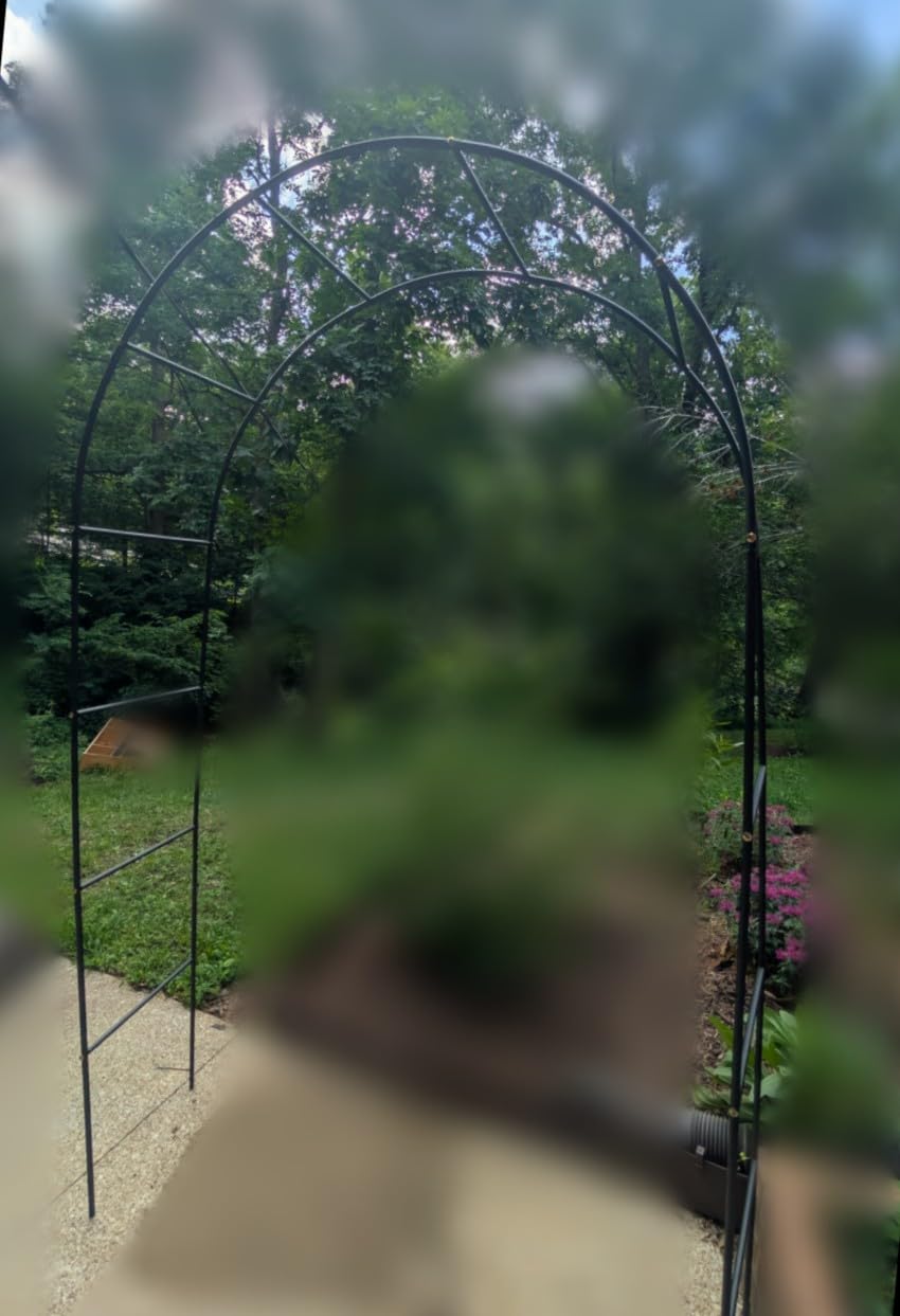 RUBFAC 7.8ft Garden Arch, Metal Trellis for Climbing Plants Outdoor | Dark Green Garden Arbors, Archway Frame for Flower Vines, Backyard Fall Decor, Halloween Christmas Decorations customer photo 1
