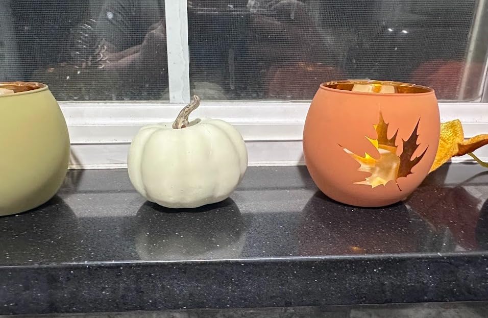 Thanksgiving Votive Candle Holder Set of 6 for Fall Table Centerpiece Decor | Engraved Glass Tealight Candle Holders for Autumn Table Settings, Indoor Outdoor Thanksgiving Table Decorations customer photo 2