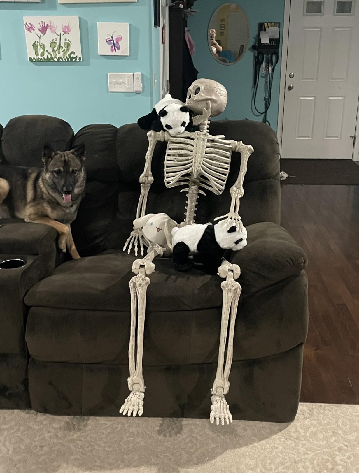 JOYIN 5.6 FT Halloween Posable Life Size Skeleton, Full Body Realistic Bones with Movable Joints, Giant Skeletons Halloween Decorations for Indoor Outdoor Haunted House Props, Spooky Scene Party Decor customer photo 2