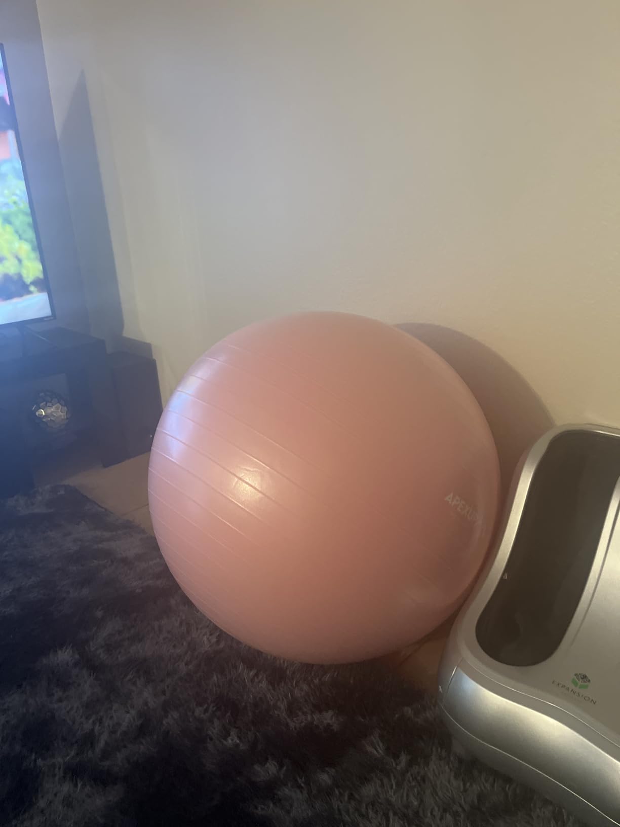 APEXUP Yoga Ball, 660 lbs Anti-Burst Exercise Ball with Pump, 5 Sizes | Anti-Burst, Anti-Slip, Strengthens Core, Improves Balance & Posture, Boosts Flexibility & Stability customer photo 1