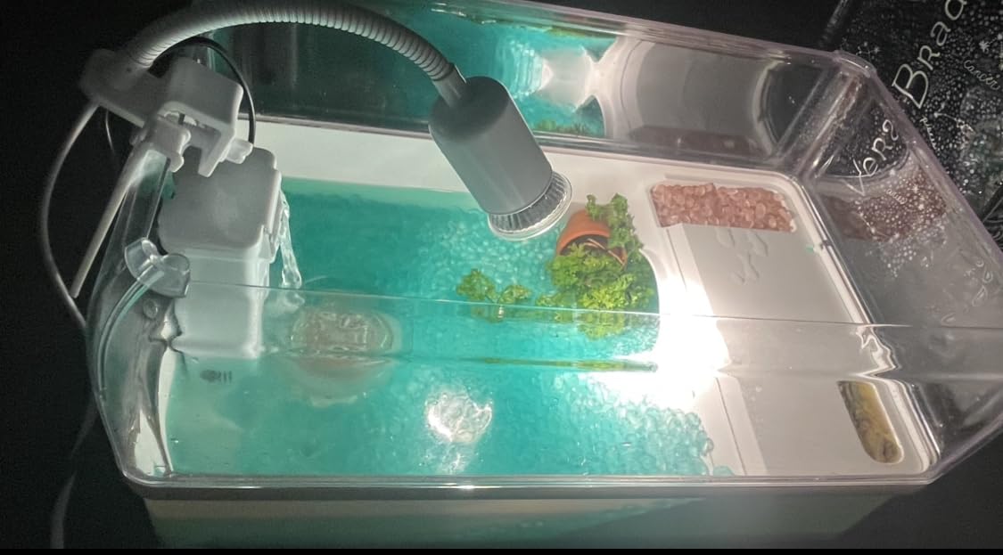 AZV Turtle Tank Starter Habitat Kit, Complete Aquatic Terrarium Enclosure | With Filter, Basking Platform with Hideout, Multi-Function Area, Drainage, Plants and Lamps, Perfect for Red Eared Slider Aquarium customer photo 2