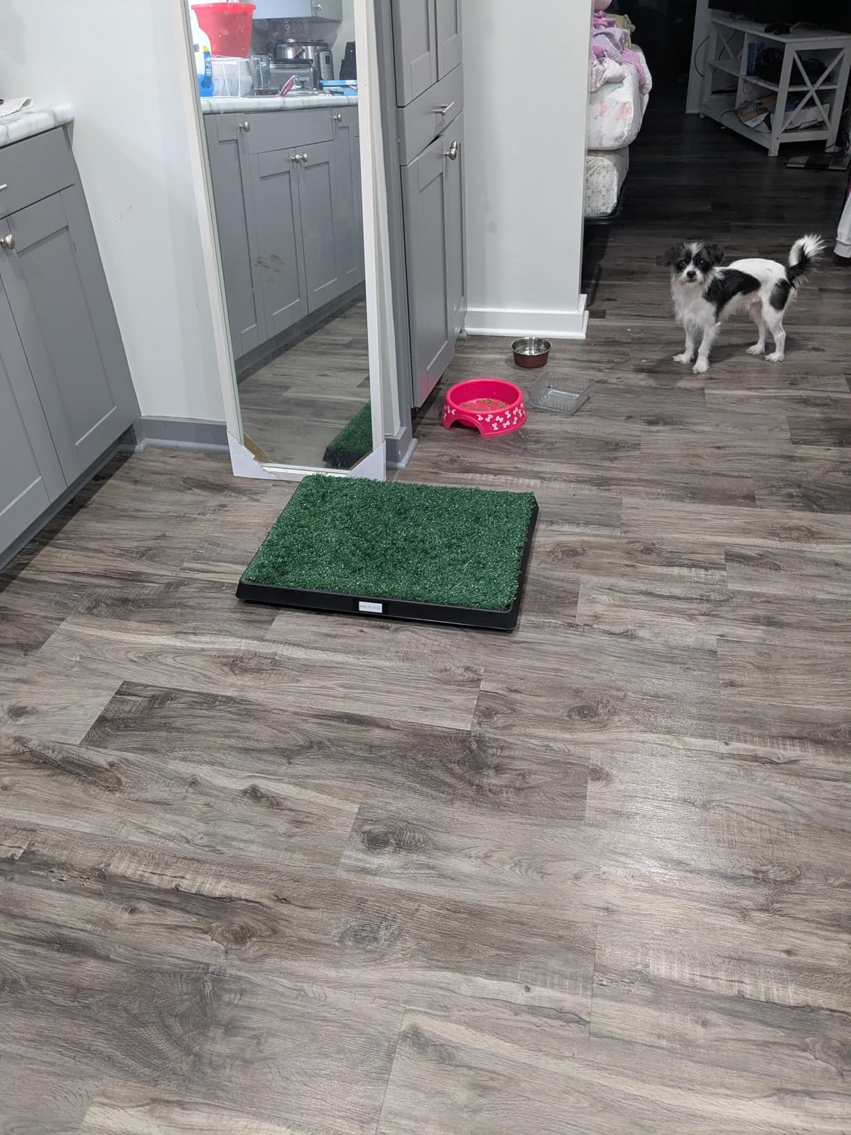 Dog Grass Pad with Tray, 25