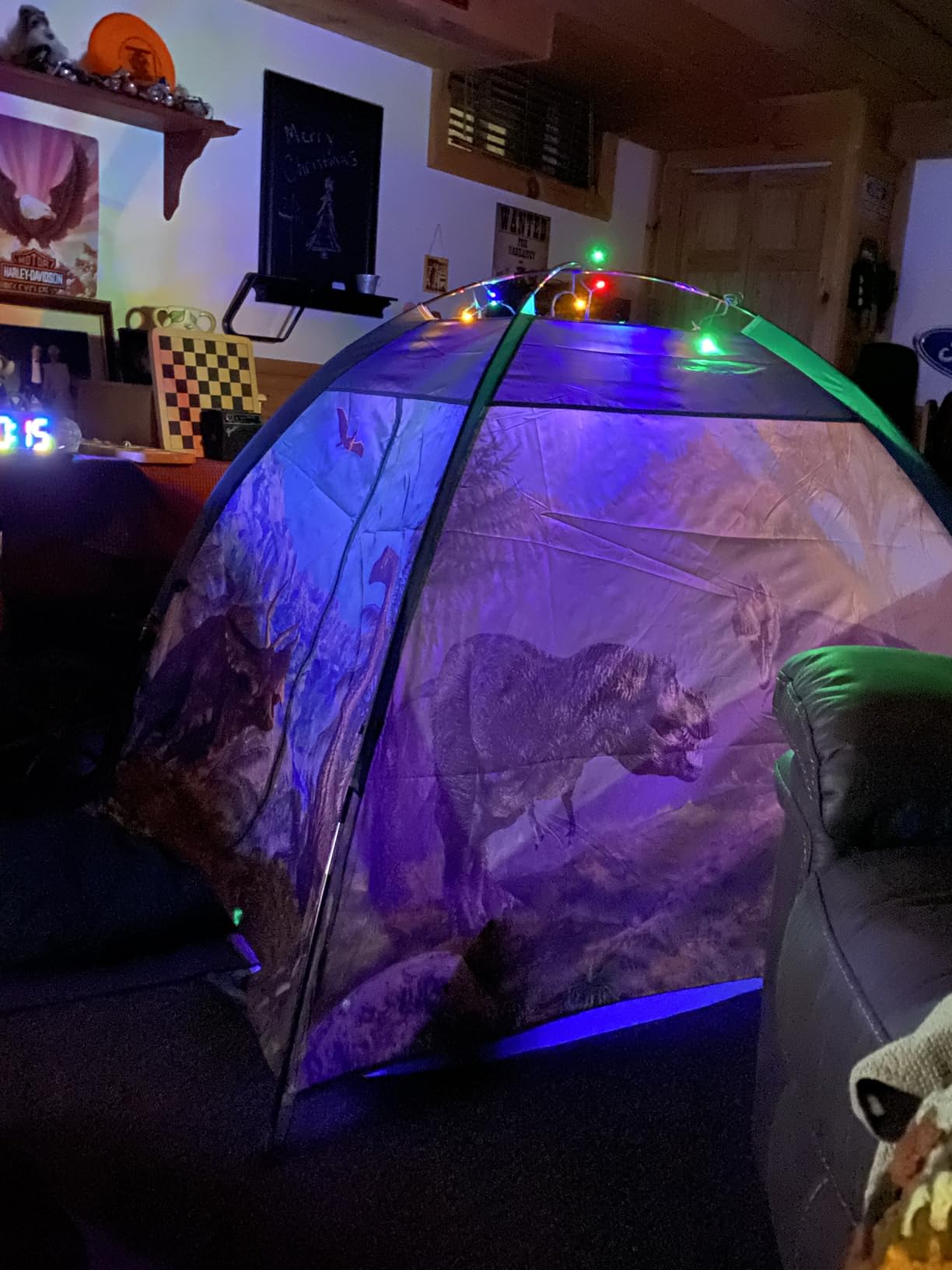 Mnagant Dinosaur Kids Play Tent-61