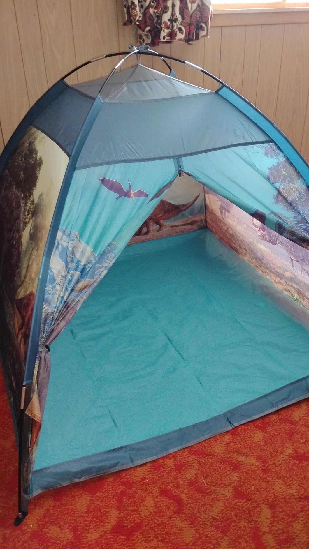 Mnagant Dinosaur Kids Play Tent-61