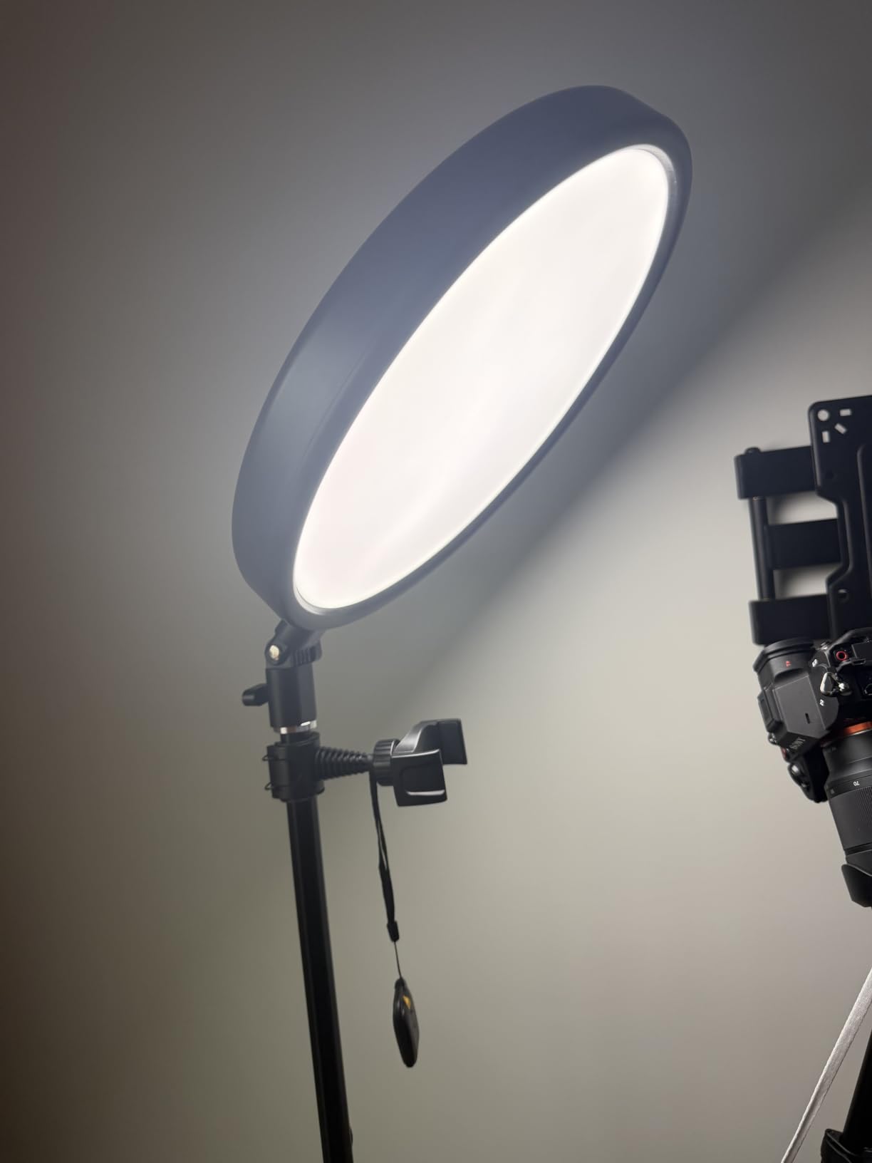 Large Ring Light with 79