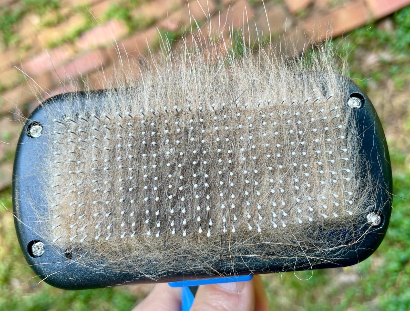 Swihauk Self Cleaning Slicker Brush - Skin Friendly Deshedding Grooming Tool for Dogs & Cats, Suitable for Shedding & Haired Pets, with Pet Supplies Accessories, Blue customer photo 1