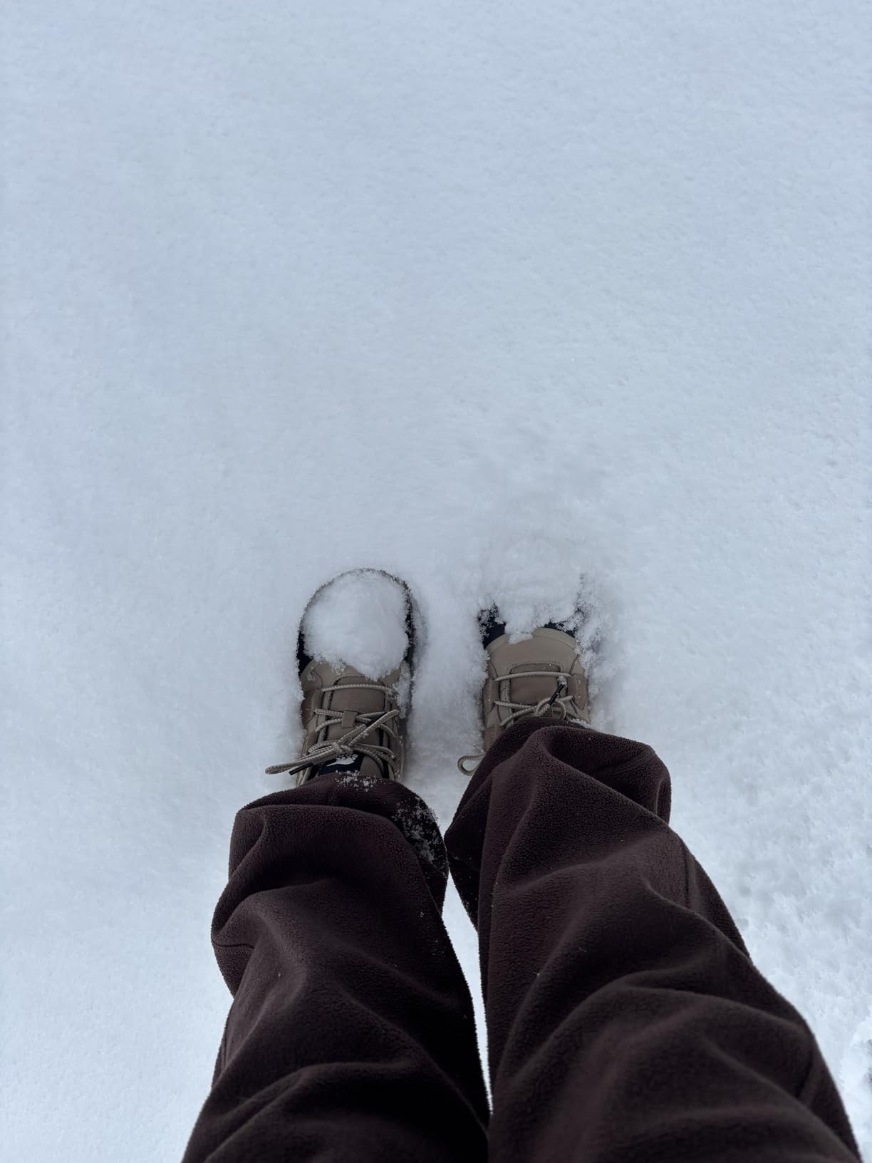 SOREL Women's Out N About lV Classic Waterproof Boot customer photo 1