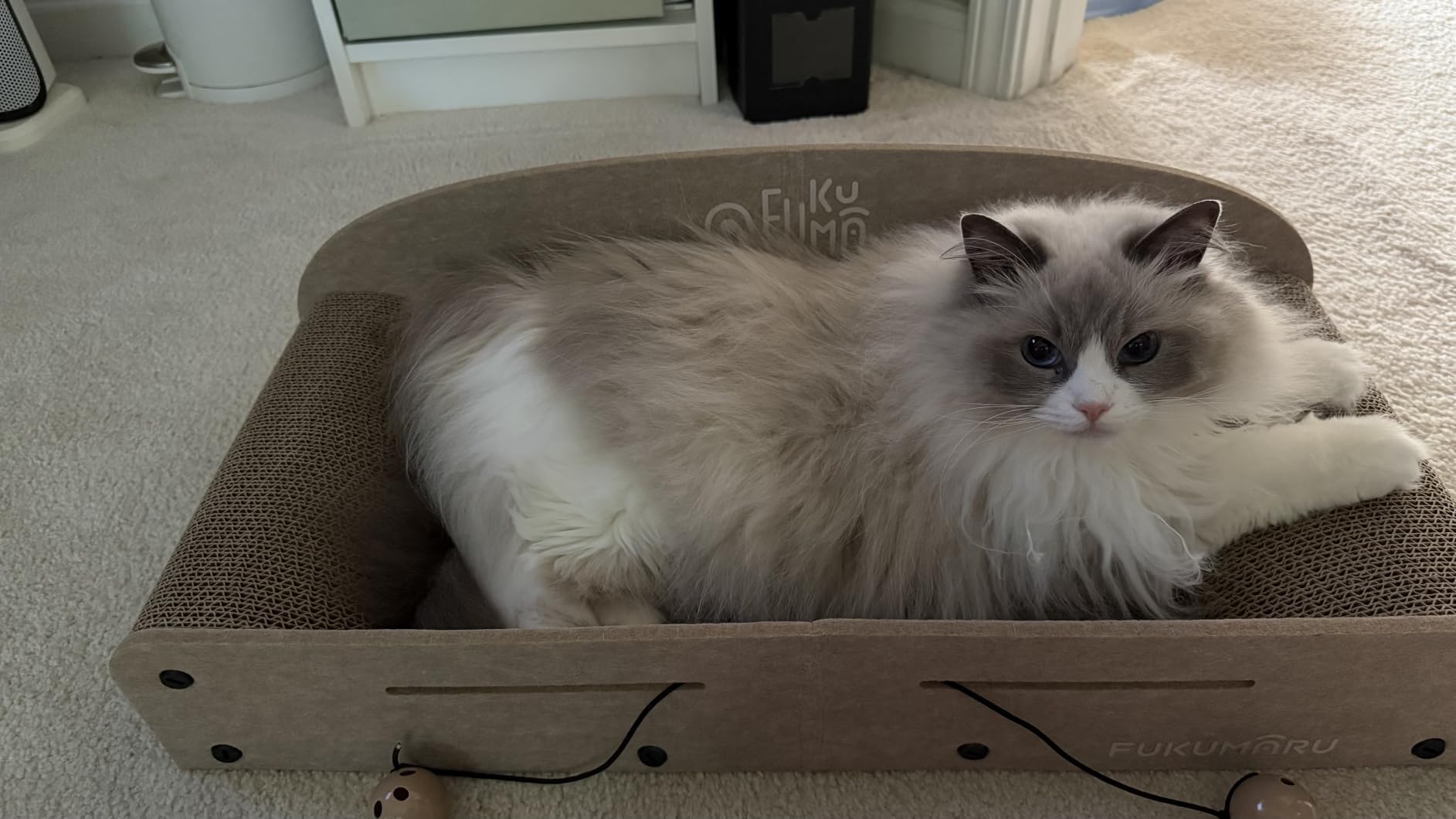 FUKUMARU Large Cat Scratcher Bed, 26 Inch Cat Scratching Bed Sofa Indoor, Cardboard Cat Scratcher with 2 Reversible Scratch Pad Refills, Durable Large Cat Scratching Lounger with Ball Toy, Caramel customer photo 2