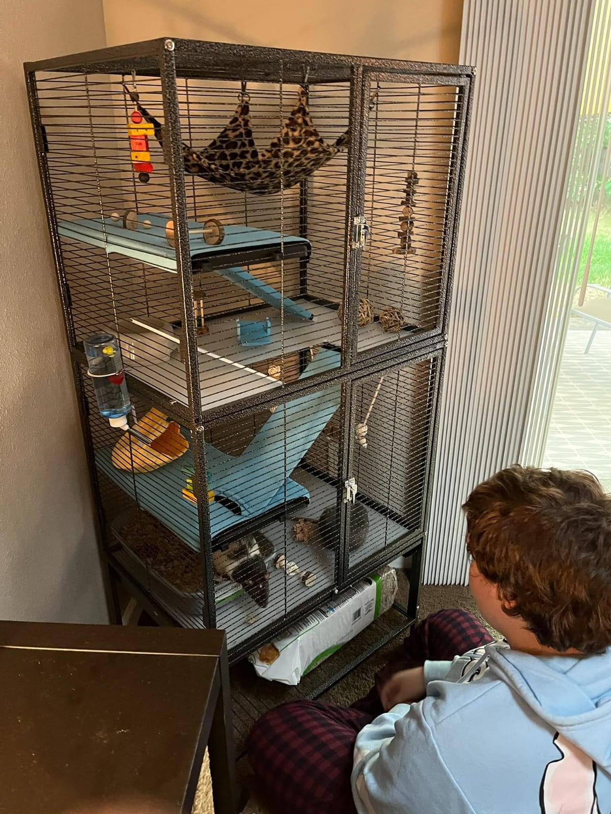 Large Two Full Story Deluxe Double Unit 4-Tiers Tight 1/2-Inch Bar Spacing Durable Front Doors Water Bottle Food Bowl for Feisty Ferret Squirrel Hammock Rat Gerbil Small Animal Critter Rolling Cage customer photo 1