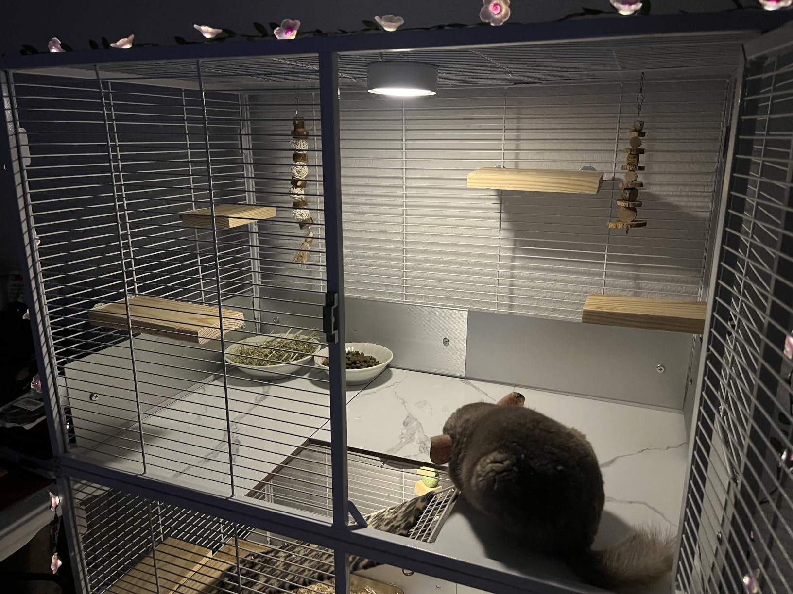 Deluxe Two Tiers Small Animal Critter Cage Tight 1/2-Inch Bar Spacing Water Bottle Food Bowl Feisty Ferret Hammock Chinchilla Rat Mice Squirrel Rabbit Sugar Glider Easy Clean Pull Out Grate Tray customer photo 2
