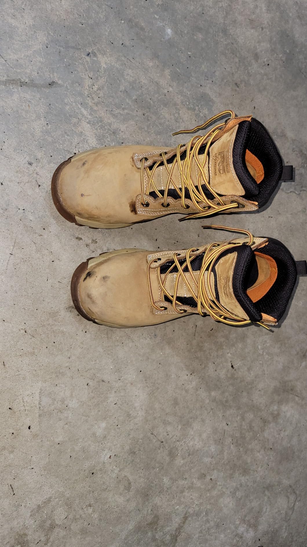 Timberland PRO Men's Titan Ev 6 Inch Composite Safety Toe Waterproof customer photo 1