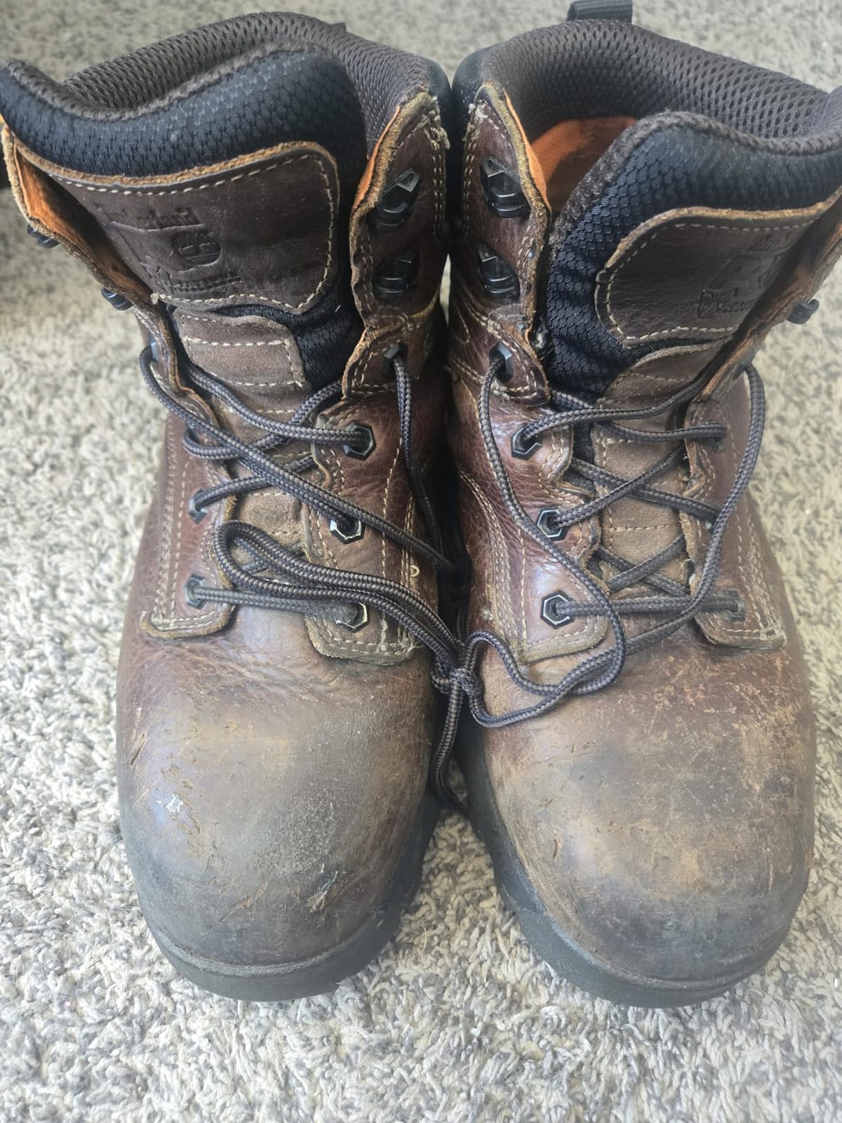 Timberland PRO Men's Titan Ev 6 Inch Composite Safety Toe Waterproof customer photo 2