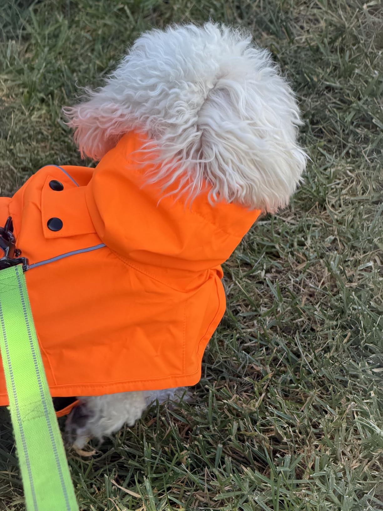 Spark Paws Dog Raincoat - Waterproof Rain Jacket w/Hood, Full Coverage | Waterproof Coat Covers Full Body incl. Belly - Reflective, Covered Harness Holes, Lightweight, Small, Medium & Large Dogs customer photo 1