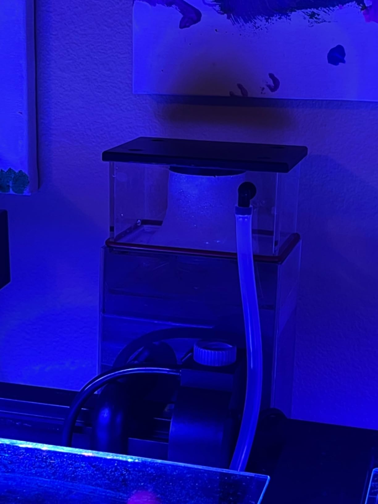 Coralife Aquarium Fish Tank Marine Salt Water DC-Controlled Variable Speed Mini Protein Skimmer, Up To 65 Gallons customer photo 2