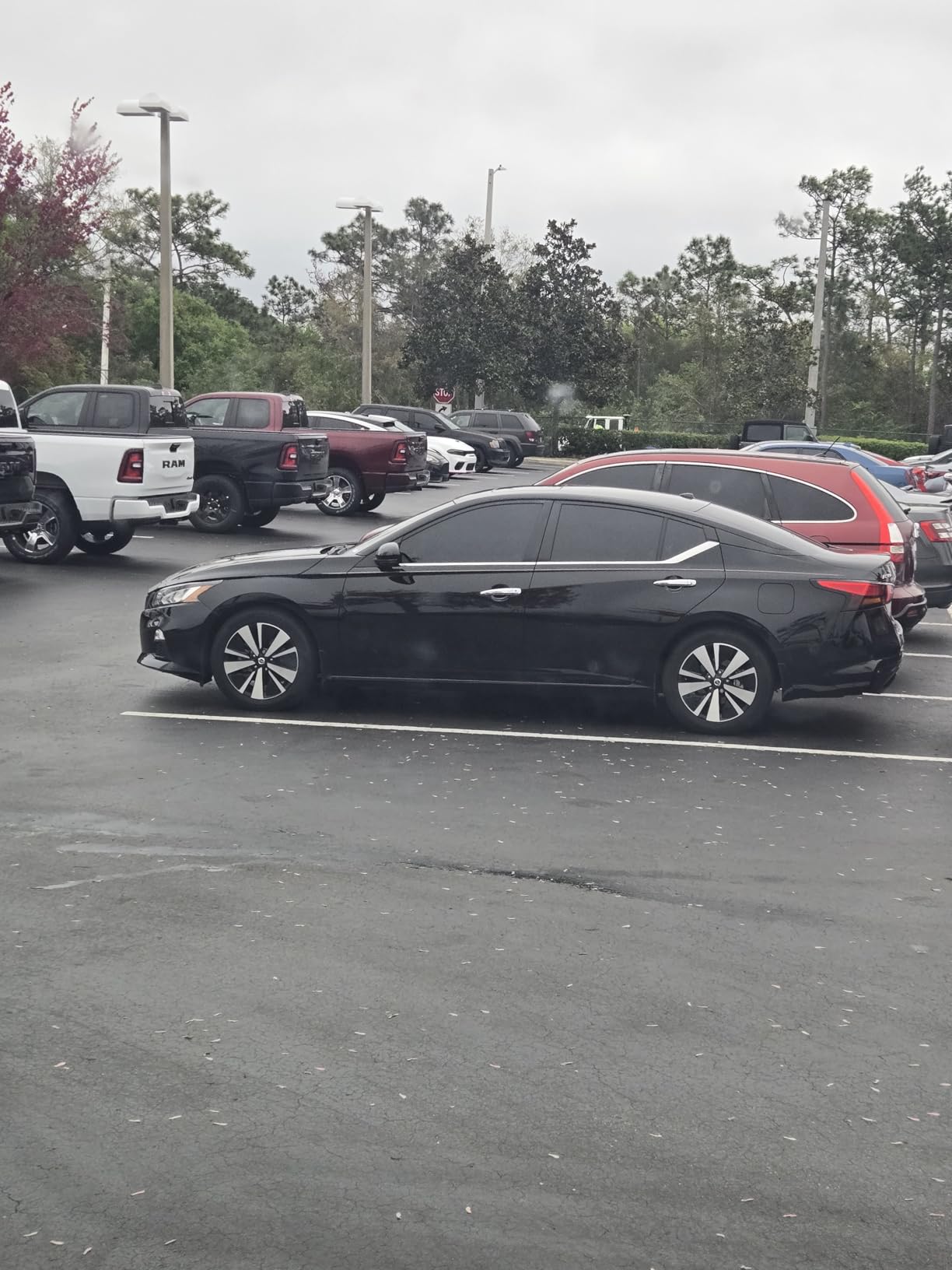 Rear Trunk Spoiler Wing Compatible with Nissan Altima 2019-2025 S/SR/SV/SL customer photo 1