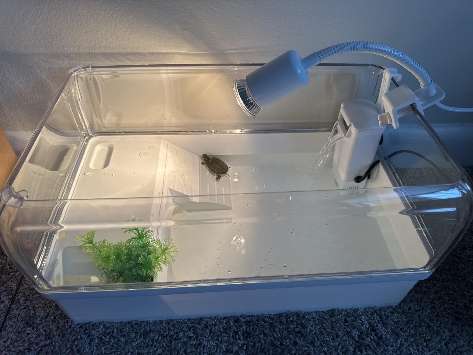 Turtle Tank Starter Kit for Baby with Silent Filter Small Green | Bottom Drain,Basking Light,Multi Zone Aquatic Small Red Eared Slider Enclosure,Anti Escape Fence Tortoise Terrarium Aquarium customer photo 2