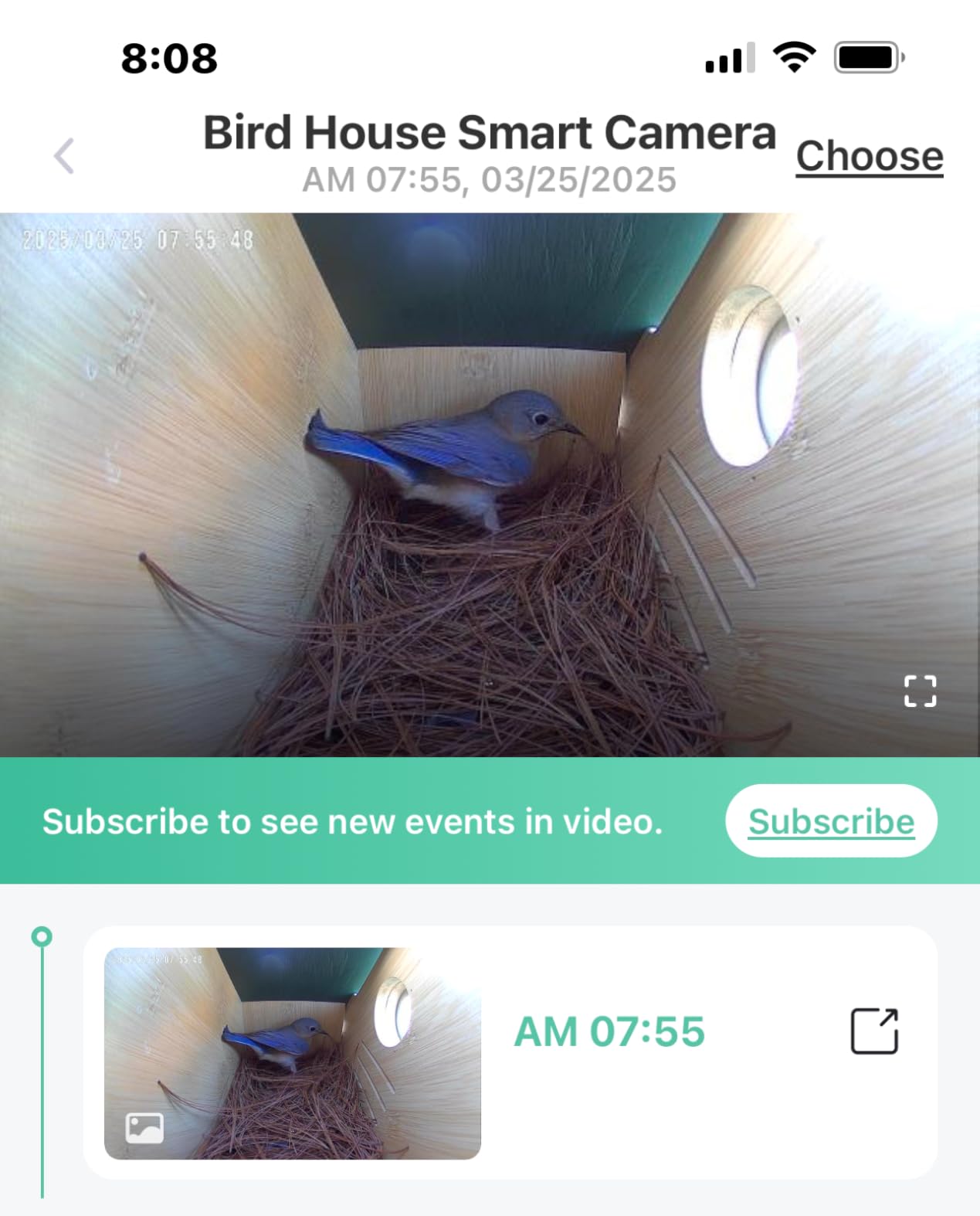 Birdkiss Smart Bird Houses for Outside Solar Powered, 1080P HD Live View Birdhouse with Camera, Perfect Viewing Bird Nesting and Hatching, Ideal Outdoors Bird House for Blue Bird and Cardinal (Green) customer photo 2