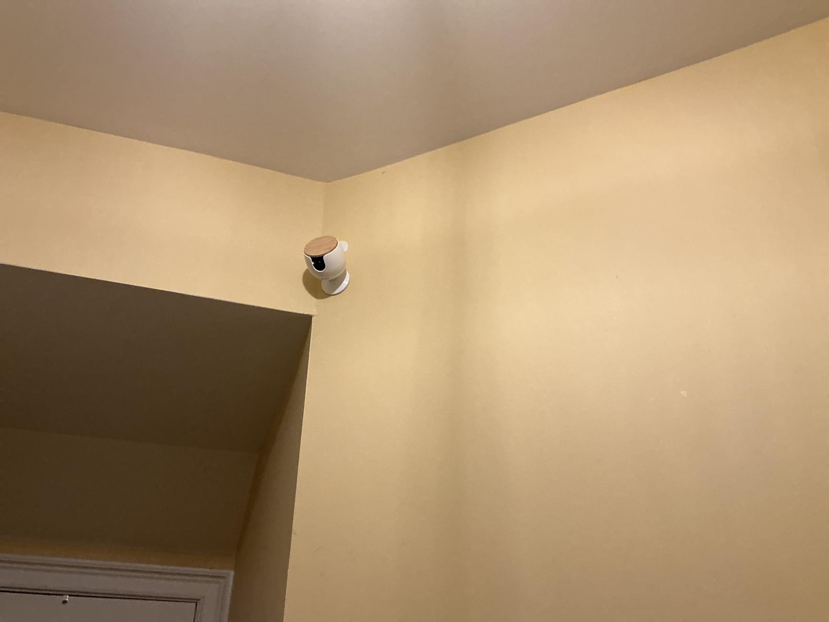 Furbo Mini Pet Camera [Paid Plan Required to Activate] | Stay connected with AI Pet & Home Safety Alerts, Mountable 130° Wide View, Video History, 2-Way Audio, Paid Plan Required customer photo 2