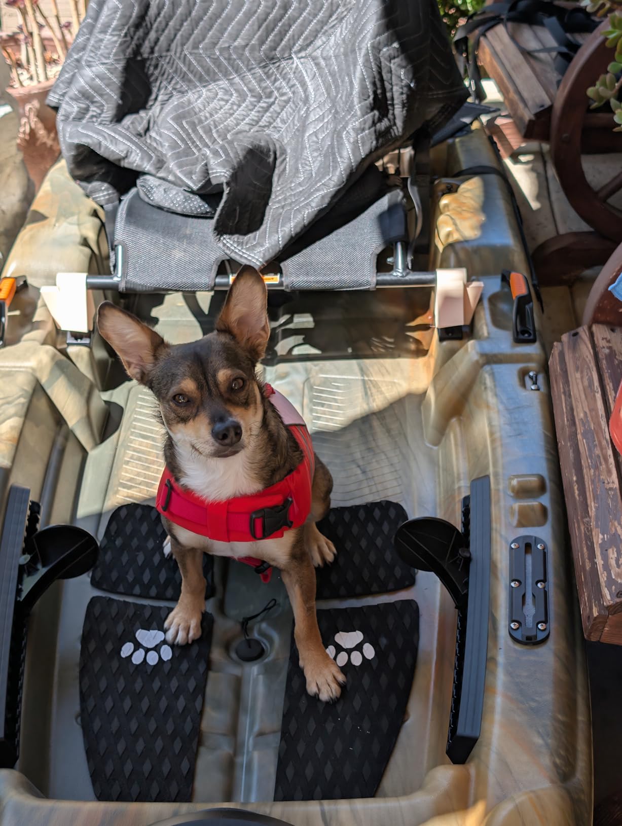 Drydiet Dog Traction Pad Dog Paddle Board Kayak Accessories customer photo 1