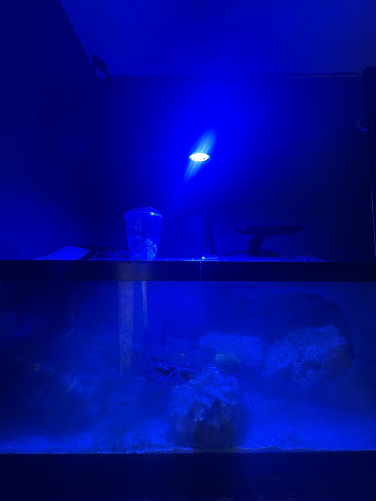 AquaIllumination AI Prime 16 HD LED App Controllable Saltwater Reef Light - Black customer photo 1