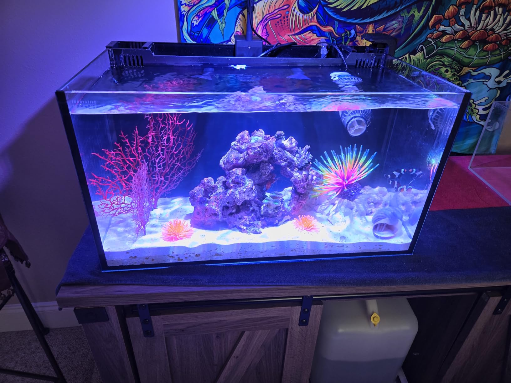 AquaIllumination AI Prime 16 HD LED App Controllable Saltwater Reef Light - Black customer photo 2
