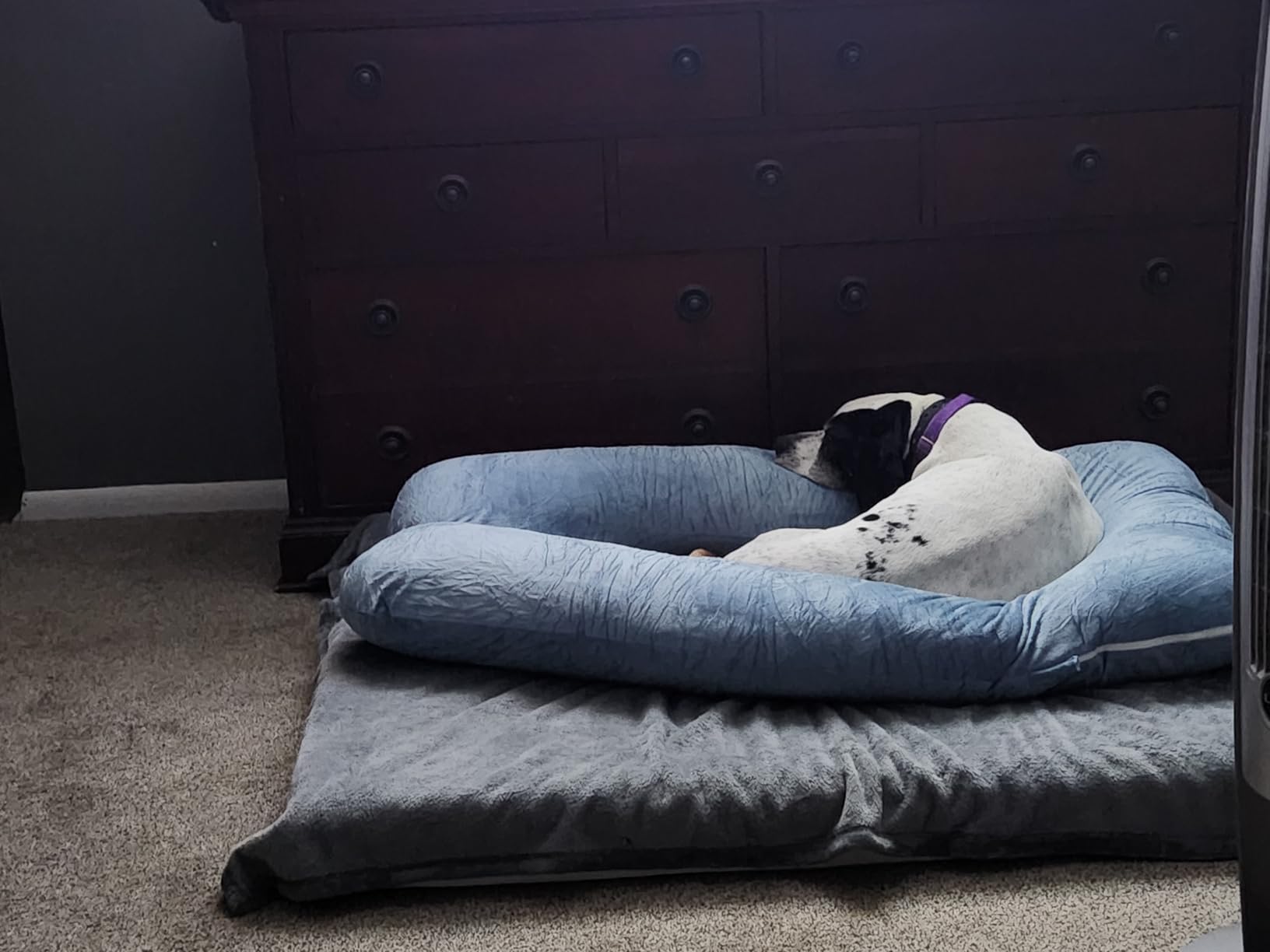 Chilling Home Pregnancy Pillows - U Shaped Maternity Pillow for Pregnant Women with Velvet Removable Cover - 55 inch Pregnancy Pillows for Sleeping - Body Pillows for Adults Full Support - Grey customer photo 2