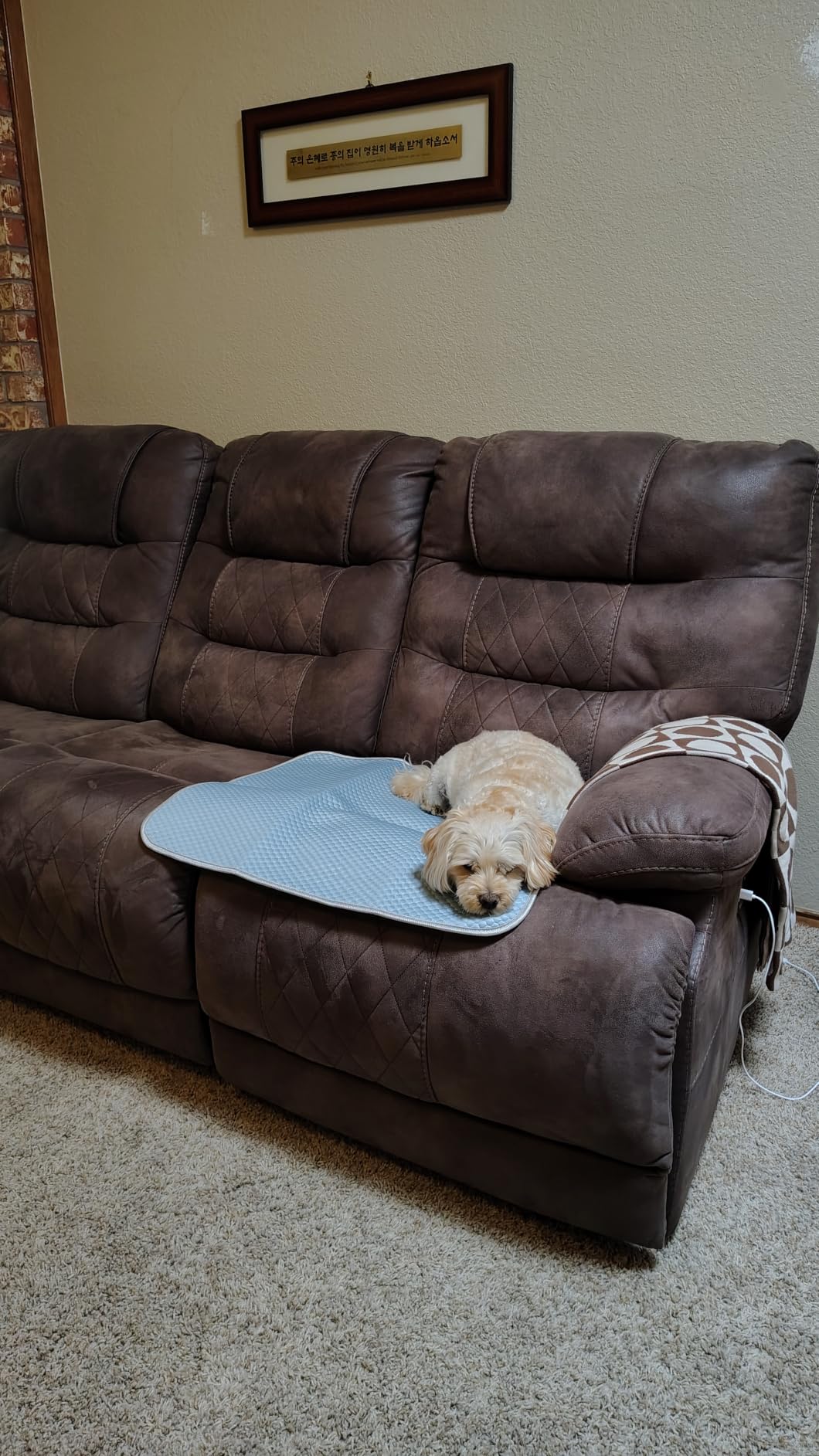 Buvlnee Summer Dog Cooling Mat, Washable Ice Silk Self Cool Pad for Small Medium Large Dogs and Cats, 24x18in Pet Sleeping Pad for Crate, Bed, Indoor & Outdoor Floor, Car Seats customer photo 2