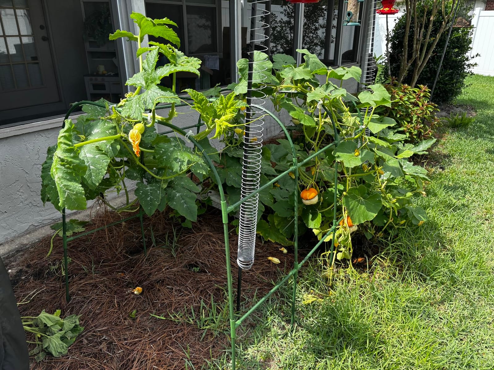 Cucumber Trellis for Raised Bed, U-Shape Garden Trellis for Climbing Plants Outdoor, Metal Arch Vegetables Trellis, Plant Support for Vine (Green, 47.2x47.2 X21.6) customer photo 1