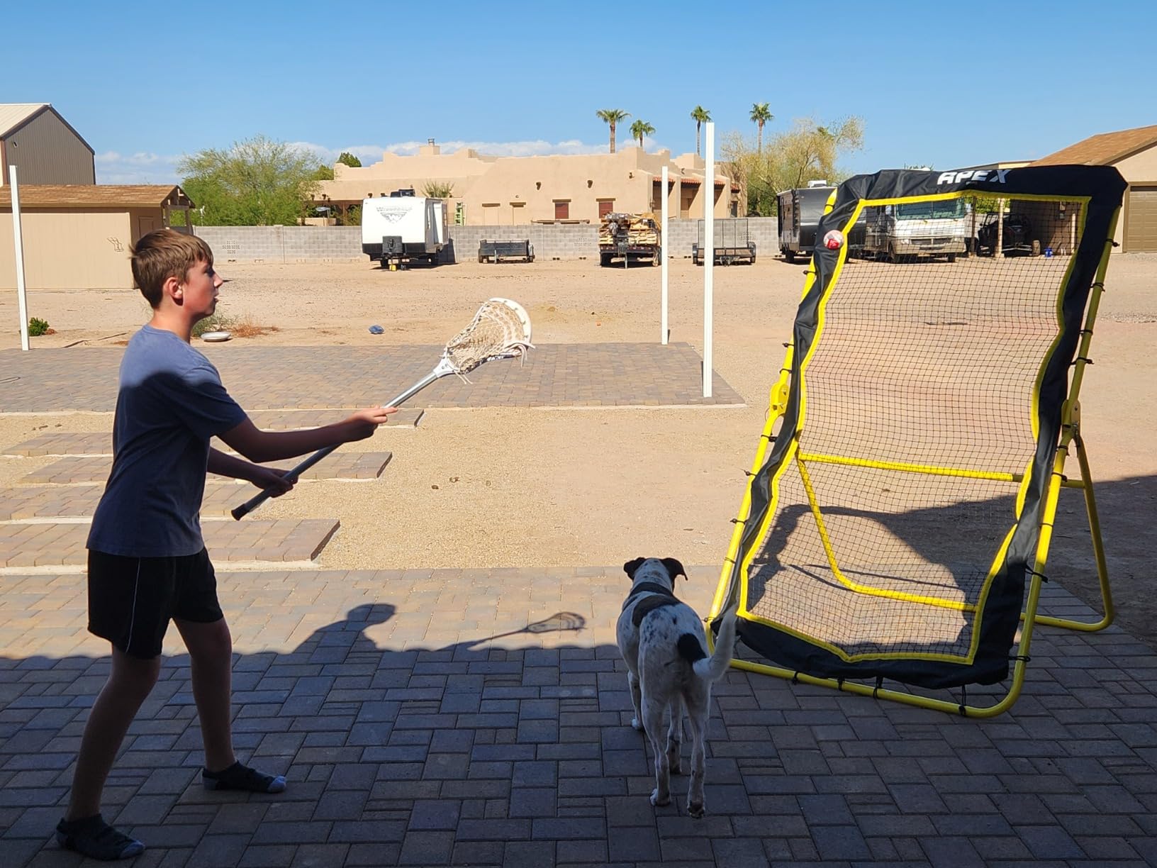 Apex Sports Professional Lacrosse Rebounder Volleyball Rebounder (4x7 Feet) - Adjustable 5 Angles, Soccer and Baseball Rebounder Practice Net with Precision Target Strip, Sturdy Frame customer photo 1