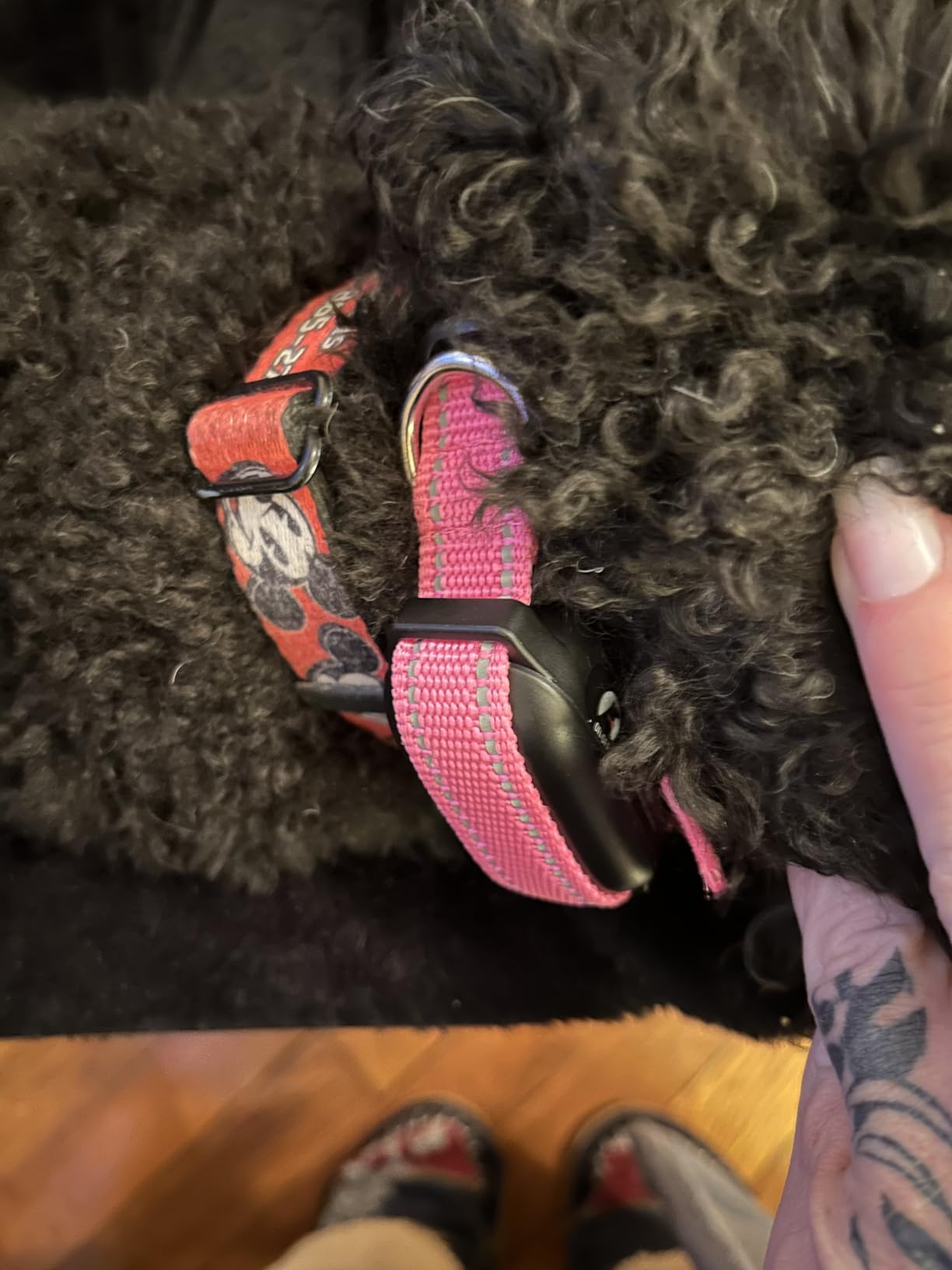 Dog Vibration Collar with Controller No Shock, 3300ft Waterproof Training Dog Collar Beep and Vibrate Only, Security Lock & Rechargeable Vibrating Collar for Dogs 5-120 lbs - No Prongs customer photo 1
