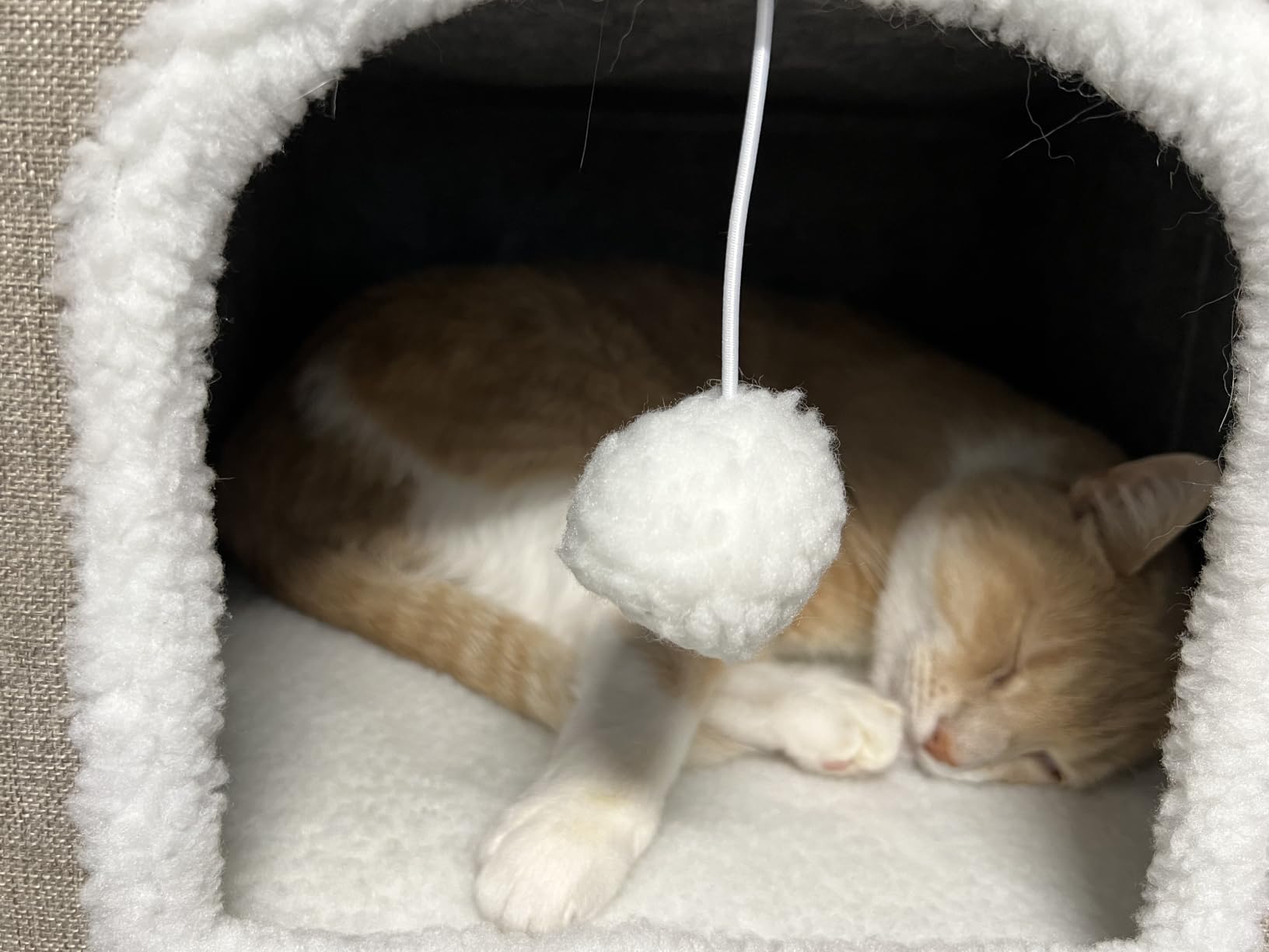 Bedsure Extra Wide Cat House Bed with Fluffy Ball and Scratch Pad, Dark Grey 23.6x16.9x13 in, Indoor Cat Cave for Multiple Pets, Foldable Cat Hideway Cube for Sleeping Large Cat and Kitten customer photo 1