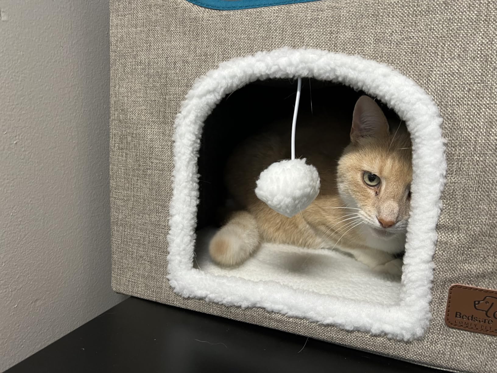 Bedsure Extra Wide Cat House Bed with Fluffy Ball and Scratch Pad, Dark Grey 23.6x16.9x13 in, Indoor Cat Cave for Multiple Pets, Foldable Cat Hideway Cube for Sleeping Large Cat and Kitten customer photo 2