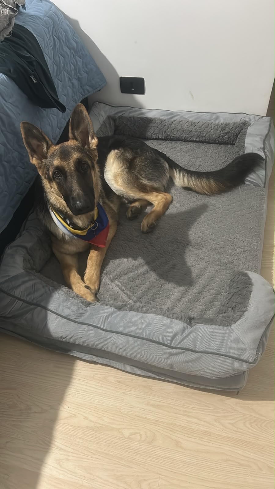INVENHO Orthopedic Dog Beds Large Sized, XL Washable Dog Sofa with Egg-Crate Foam, Waterproof Lining and Non-Skid Bottom customer photo 2