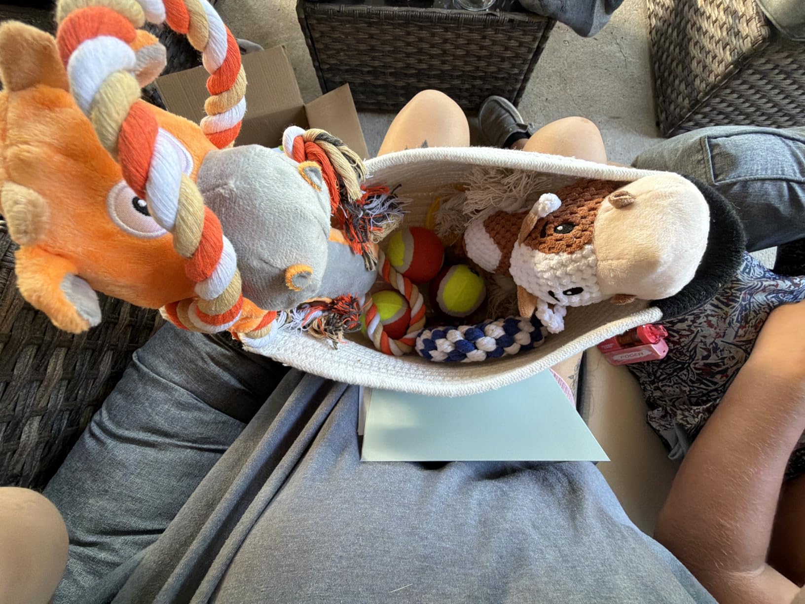 New Puppy Gift Basket - Premium Puppy Starter Kit and Dog Gift Basket | Includes Dog Toys - Perfect Doggie Birthday Gifts - Puppy Necessities with Pet Toy Basket customer photo 2