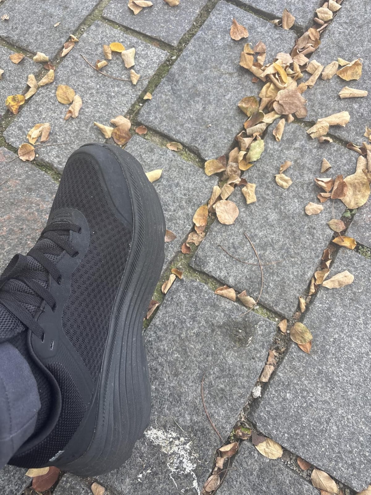 Skechers Men's Max Cushioning Endeavour Sneaker customer photo 2