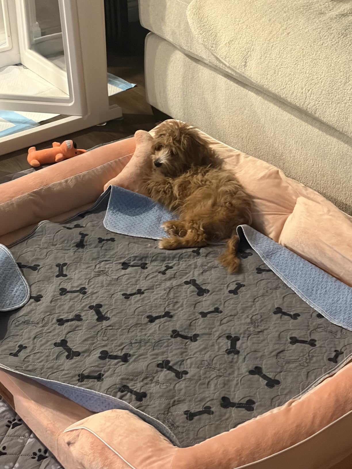 CWAWZ Extra Large Dog Bed, Orthopedic Dog Bed with Cooling Gel Memory Foam, Waterproof XL Pet Bed with Removable Washable Cover, 42