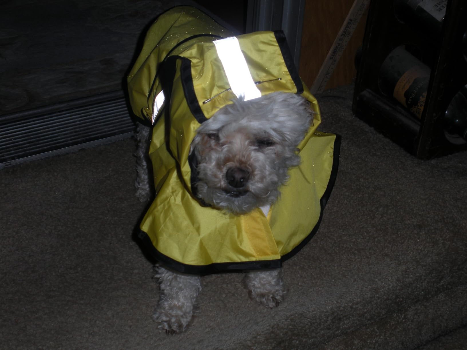 Paiaite Dog Raincoat: Hooded Slicker Poncho, Durable Waterproof Jacket with Reflective Stripes for Safety, Convenient Leash Hole, and Adjustable Fit, Perfect for Small, Medium, and Large Dogs Yellow M customer photo 2
