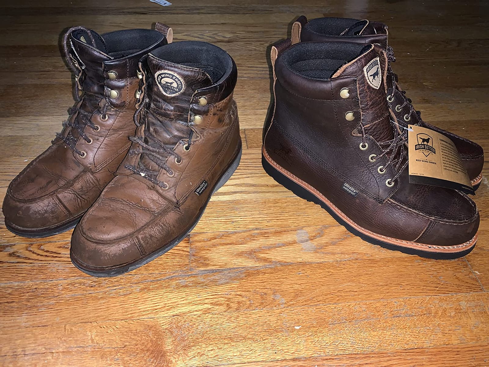 Irish Setter Wingshooter 7