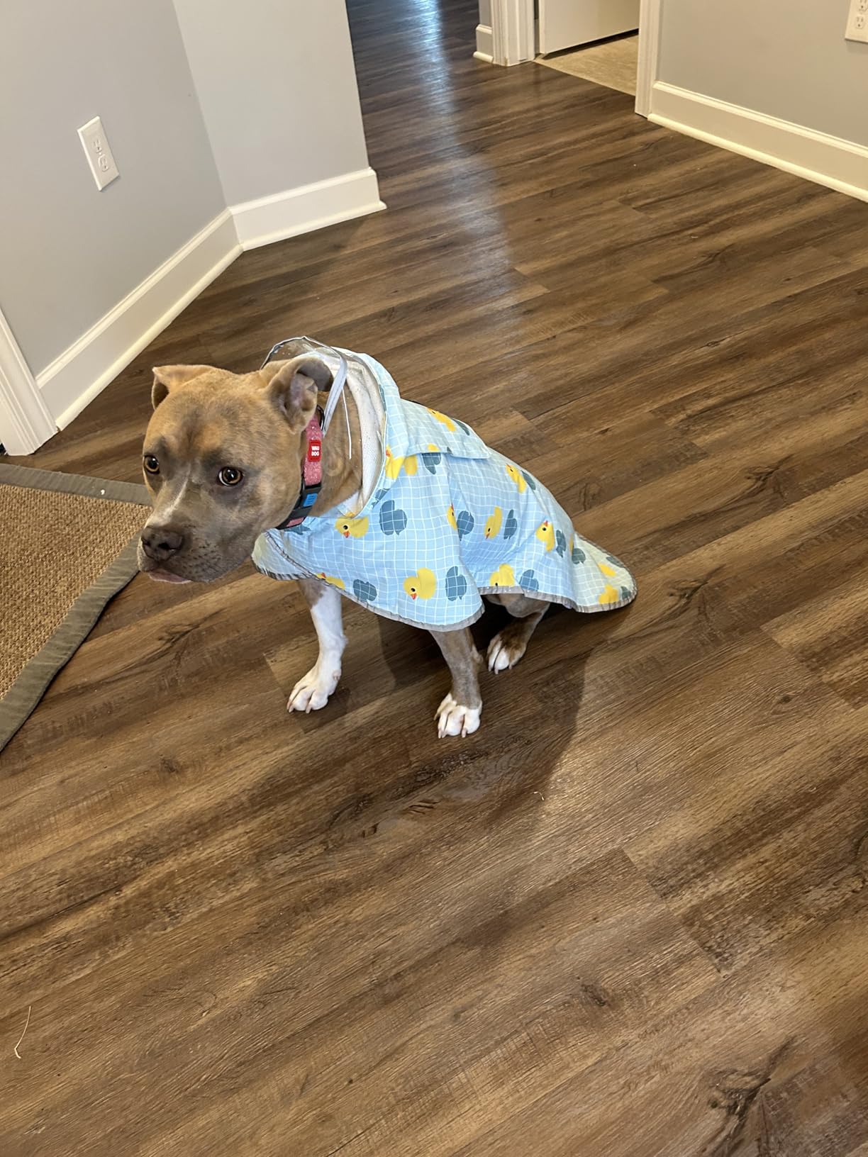 SlowTon Dog Raincoat, Waterproof Dog Rain Jacket with Clear Hooded, DK XL | Adjustable Poncho with Double Layer, Leash Hole, Reflective Strip Straps and Storage Pocket for Small Medium Large Dogs customer photo 1
