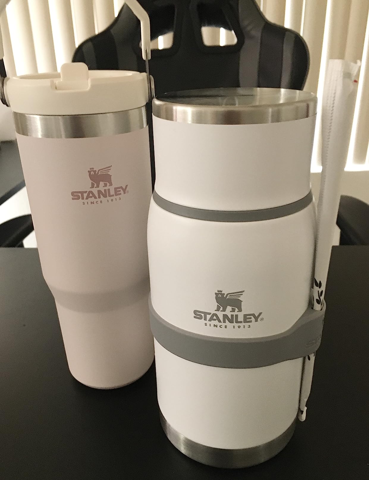 STANLEY Adventure To-Go Food Jar 18 oz | Vacuum Insulated Food Container | Wide Mouth Screw On Lid | Packable for Travel | Stainless Steel with Leakproof Lid | BPA-Free | Frost customer photo 2